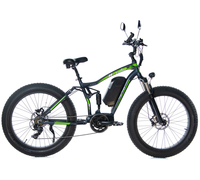 E-motions Cougar
