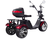 Электротрицикл SKYBOARD TRIKE BR80 - Фото 2