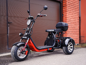 Электротрицикл White Siberia PRO TRIKE 3000W - Фото 17