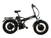 Elbike Taiga 3 Twix