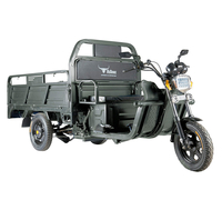 Rutrike D4 1800 60V1200W