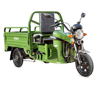 Rutrike Вояж К 1300 60V800W