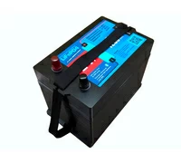 Rutrike LiFePo4 24V50Ah(80А)