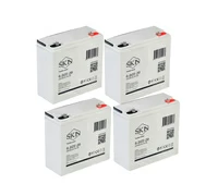 SKN 6-DZF-20 (48V22.5A/H C5)