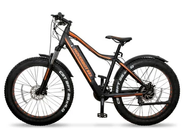 Электрофэтбайк Hoverbot FB-2 FATBIKE