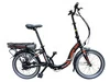 VOLTECO GOOSE CARDAN