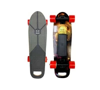 BUZZBOARDS B1