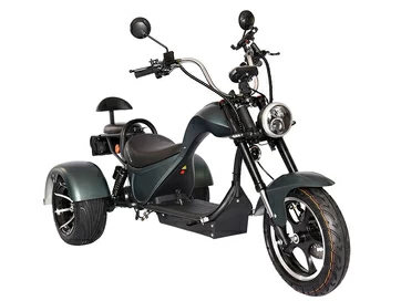 Электротрицикл SKYBOARD TRIKE CHOPPER-2000
