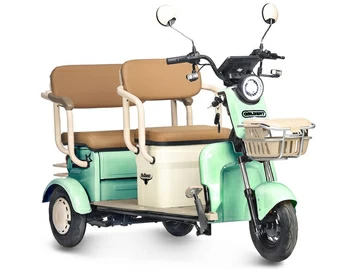 Электротрицикл Gelbert Atlas 48V/60V 600Вт (зеленый)