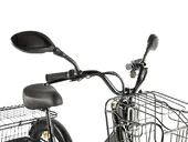 Электровелосипед GREEN CITY e-ALFA Trike (серебристый) - Фото 7