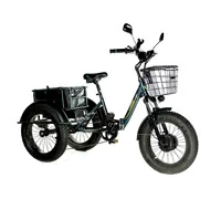 E-motions Panda 20 (750W 15Ah)