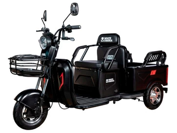 Электротрицикл White Siberia SIBTRIKE Max 2000W